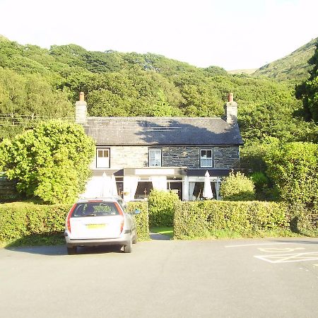 The Dolgoch Bed & Breakfast Bryn-crug Eksteriør bilde